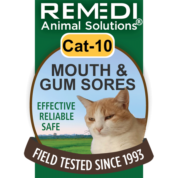 Cat-10-Mouth-Gum-Sores-01