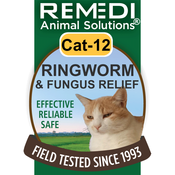 Cat-12-Ringworm-Fungus-01