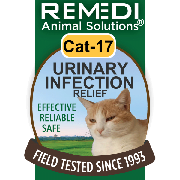 Cat-17-Urinary-Infection-01