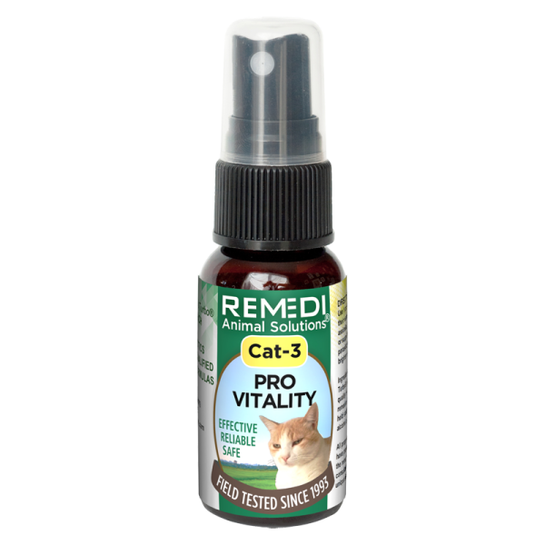 Cat-3-Pro-Vitality-02 Cat-3-Pro-Vitality-02