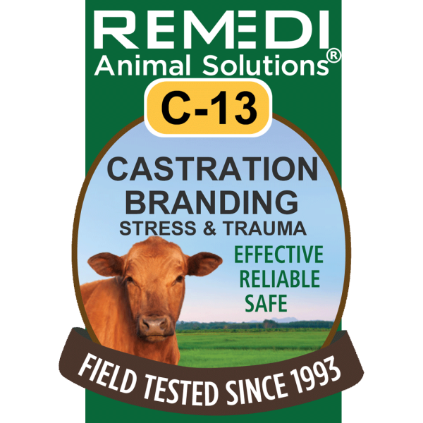 Cattle-13-Castration-Branding-Relief-01