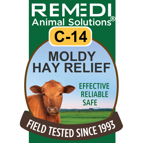 Cattle-14-Moldy-Hay-Relief-01