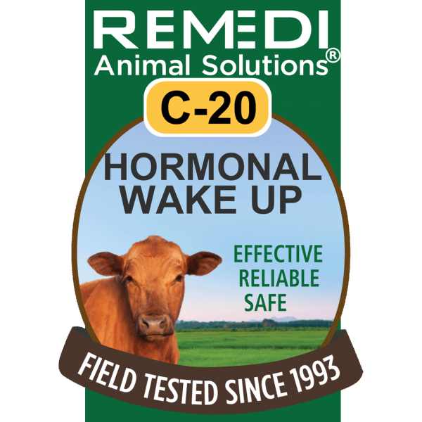 Cattle-20-Hormonal-Wakeup-01