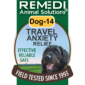 Dog-14-Travel-Anxiety-01