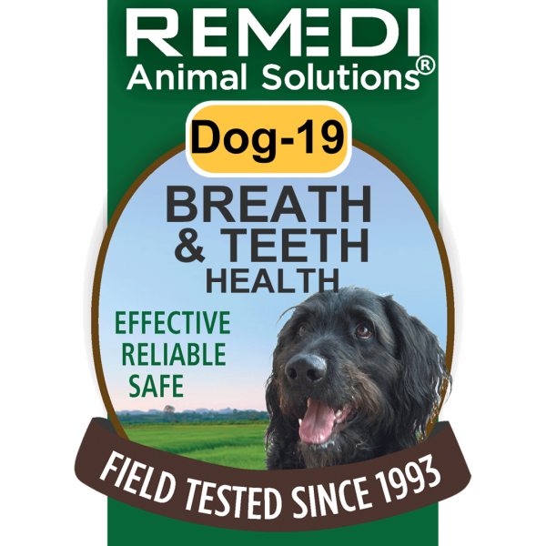 Dog-19-Breath-Teeth-Health-01