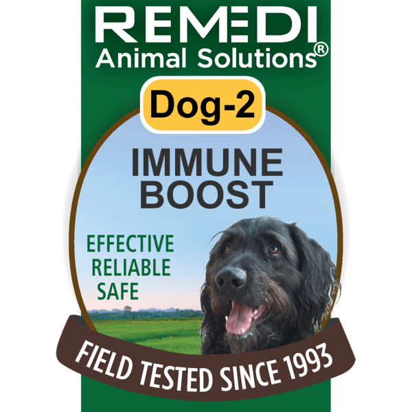 Dog-2-Immune-Boost-01