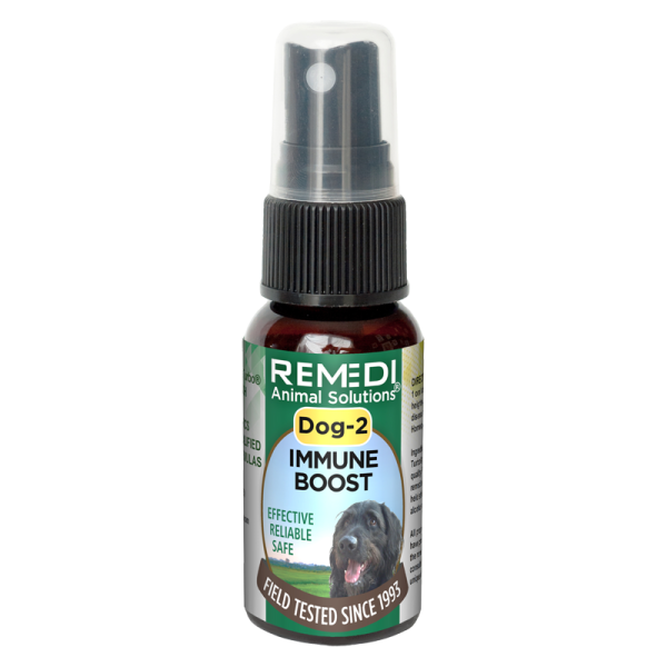 Dog-2-Immune-Boost-02 Dog-2-Immune-Boost-02