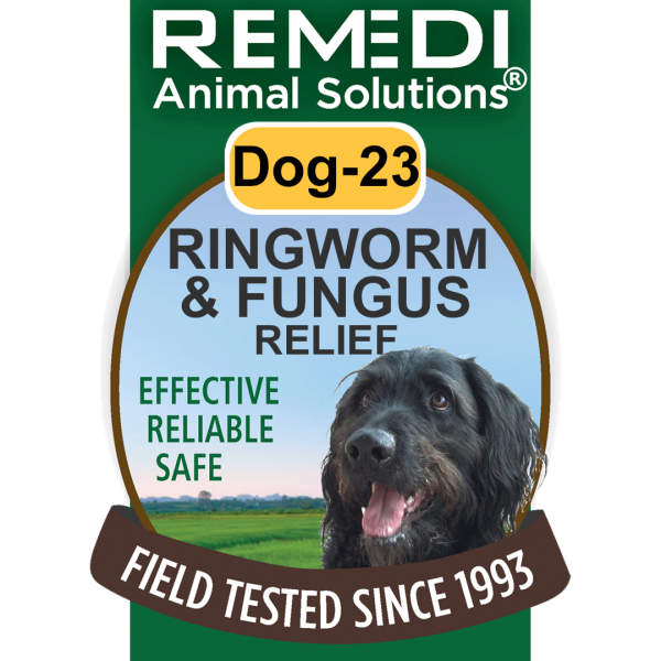 Dog-23-Ringworm-Fungus-01