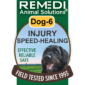 Dog-6-Injury-Healing-01