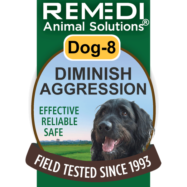 Dog-8-Diminish-Aggression-01
