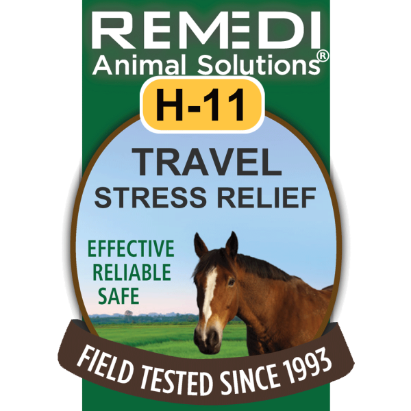 H11-Horse-Travel-Stress-Relief-01