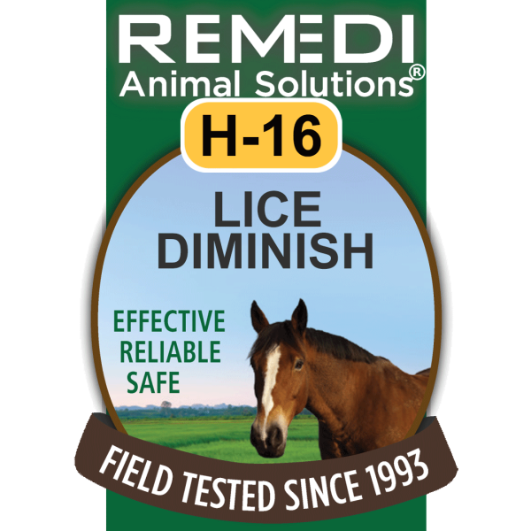H16-Horse-Lice-Diminish