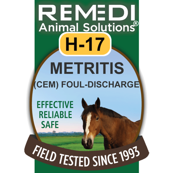 H17-Horse-Metritis-01