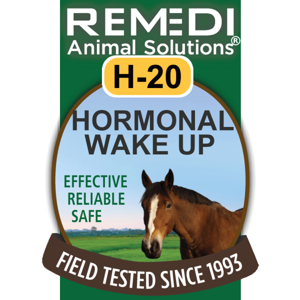 H20-Horse-Hormonal-Wakeup-01