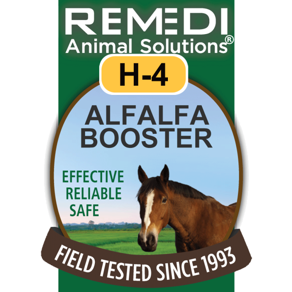 H4-Horse-Alfalfa-Booster-01