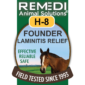 H8-Horse-Founder-Laminitis-01