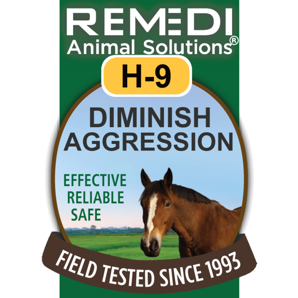 H9-Horse-Diminish-Aggression-01