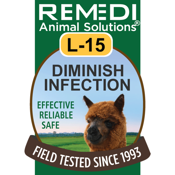 L15-Llama-Alpaca-Dim-Infection-01