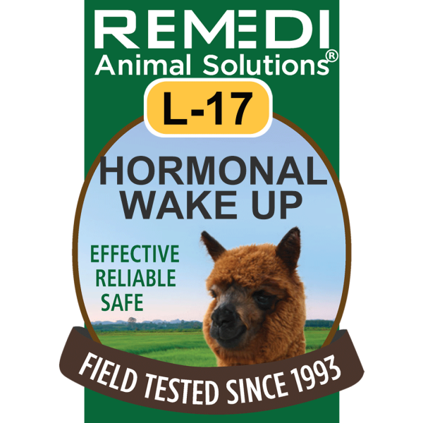 L17-Llama-Alpaca-Hormonal-Wakeup-01
