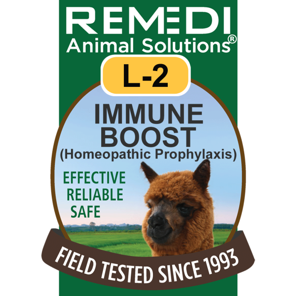 L2-Llama-Alpaca-Immune-Boost-01