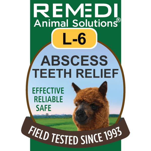 L6-Llama-Alpaca-Abcess-Teeth-01