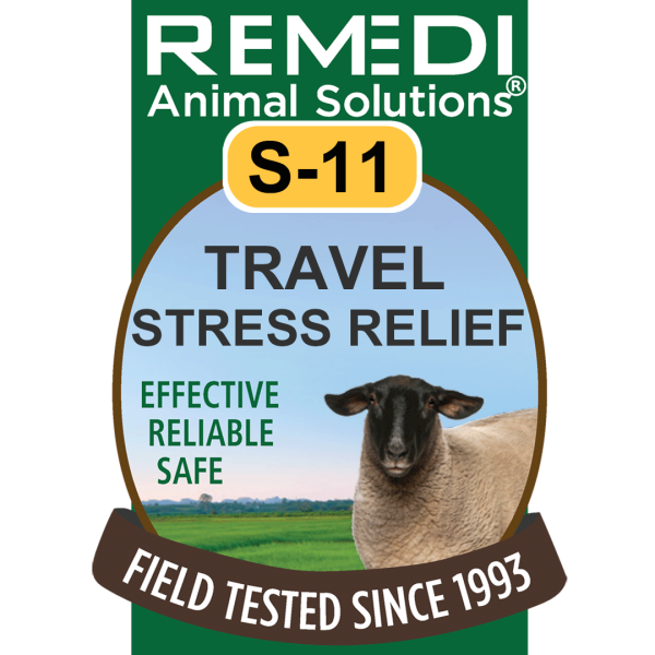 S11-Sheep-Goats-Travel-Stress-01