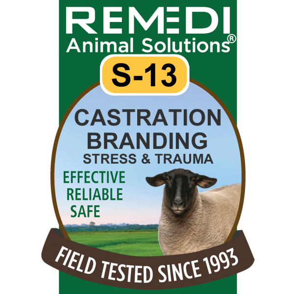 S13-Sheep-Goats-Castration-Branding-01