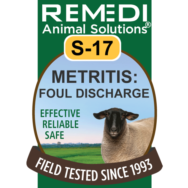 S17-Sheep-Goats-Metritis-01