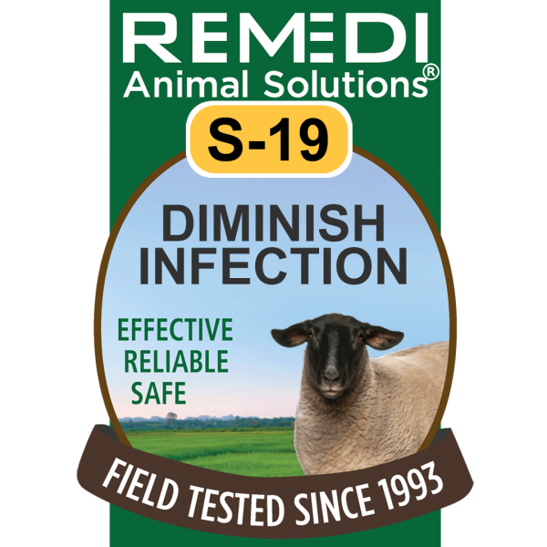 S19-Sheep-Goats-Dim-Infection-01
