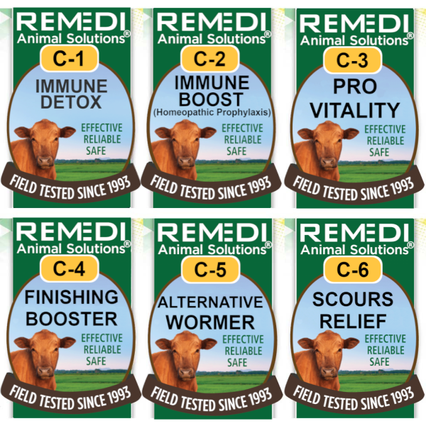 Cattle-Starter-Kit-02 Cattle-Starter-Kit-02