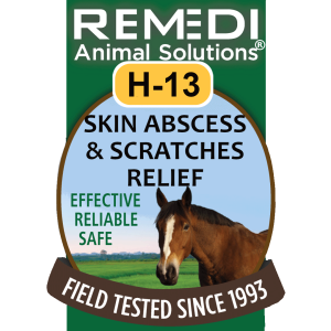 H-13, Skin Abscess & Scratches Relief for Horses