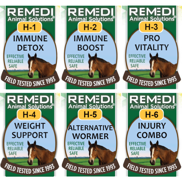 HSK-Horse-Starter-Kit-02