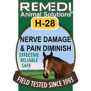 H-28, Nerve Damage & Pain Diminish for Horses