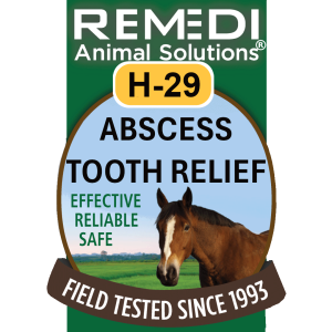 H-29, Abscess Tooth Relief for Horses