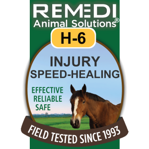 H-6, Injury Speed Healing for Horses