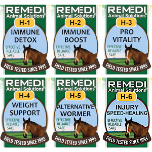 Horse Starter Kit - Set of first 6, 1oz remedies