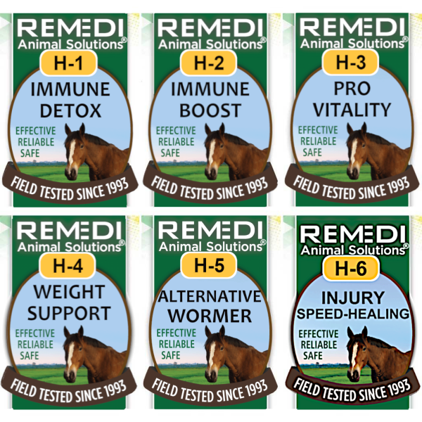 HSK-Horse-Starter-Kit-02